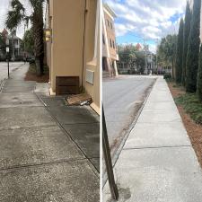 Soft-Washing-Historical-Charleston-Church 11